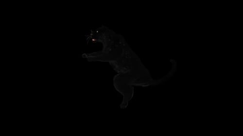 Panther HD
