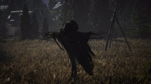 Scarecrow on the Old Village Field