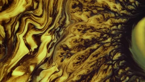 Crystal Germination