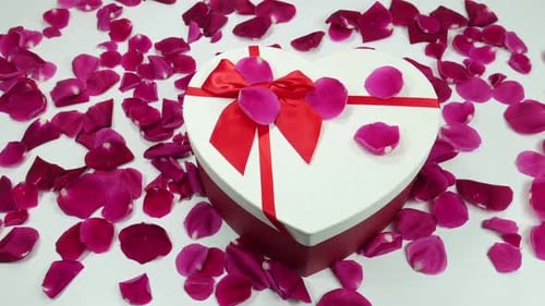 Heart Shaped Gift with Rose Petals
