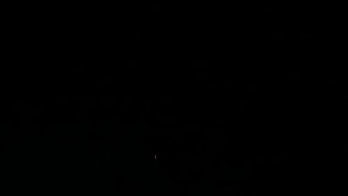 Brilliant Fireworks Exploding in the Night Sky