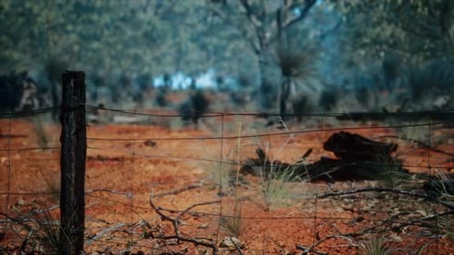 Rural Wire Fence and Wooden Posts in Arid Landscape