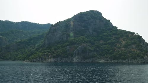 Big green rock with trees