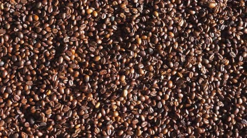 Roasted Coffee Beans