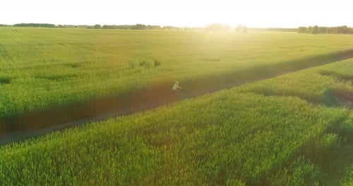 Aerial View on Young Boy, That Rides a Bicycle Thru a Wheat Grass Field on the Old Rural Road