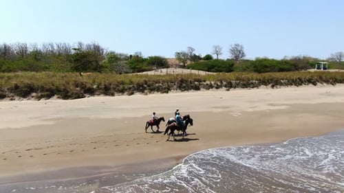 Family Riding Horses on the Seashore