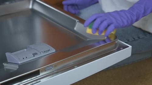 Hand in Gloves Cleans Dishwasher Interior with Sponge