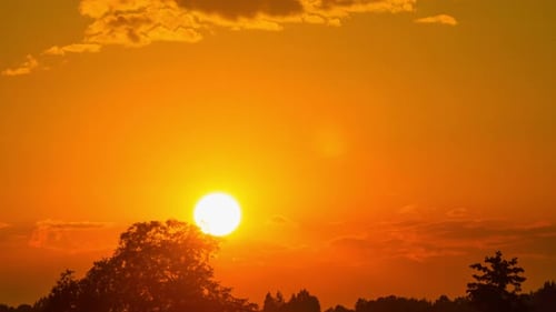 Sunset close-up