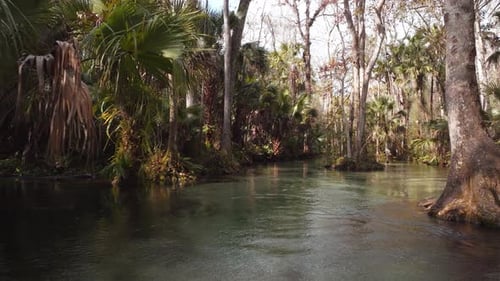 Rocks Springs Run at Kings Landing in Florida