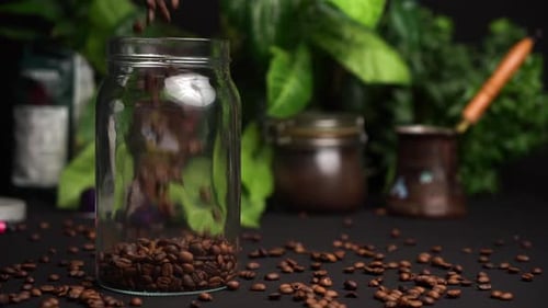 Coffee Beans Filling Glass Jar with Green Plants