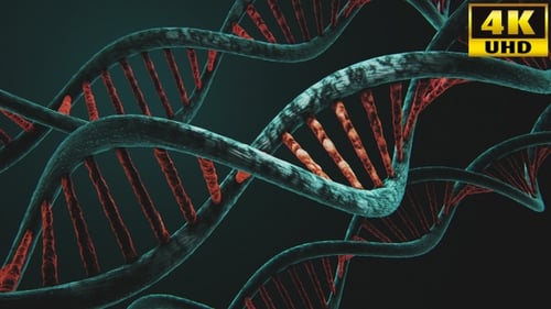 Rotating DNA Strands Animation for Science and Medical Projects