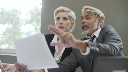 Colleagues Reviewing Documents in a Bright Office