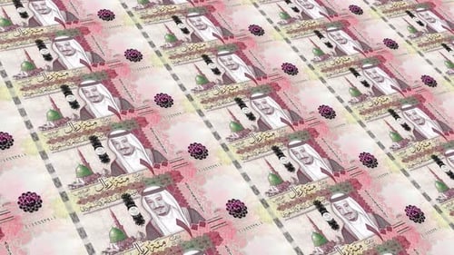 Saudi Arabia Money / 100 Saudi Riyal 4K