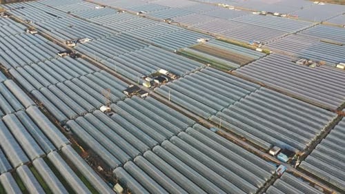 Greenhouses Aerial View in Rural Farmland