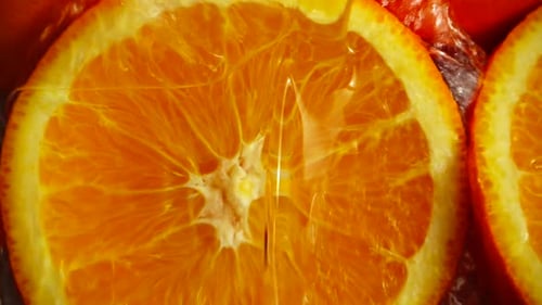 Juicy and Ripe Orange 2