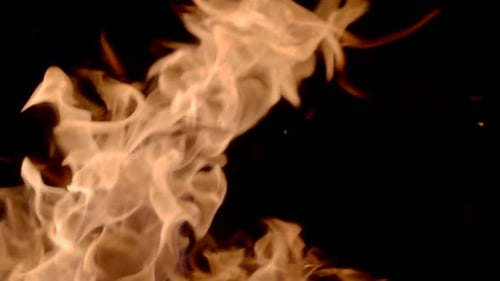 Close Up Fire Flames on Black Background