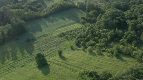 Aerial View of Green Fields and Forest