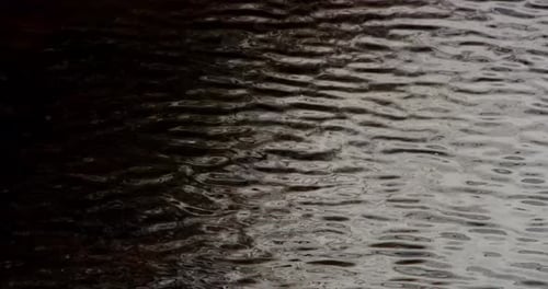 Water drips into a water surface - white background