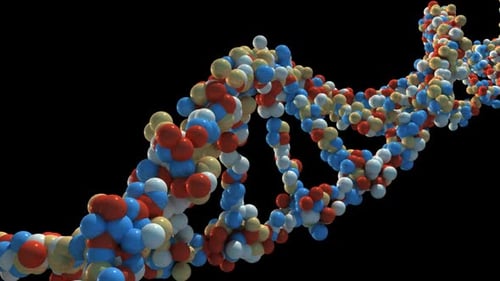 Animated DNA Double Helix Loop for Science and Medical Graphics