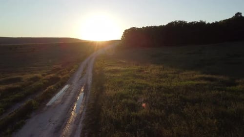 Aerial View on Green Wheat Field in Countryside