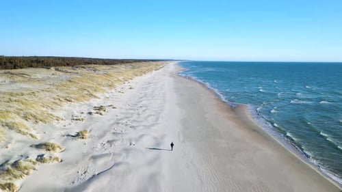 Aerial View Of Traveler Walking Along The Beach In Seaside