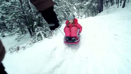 Luge pour les jours de neige