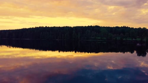 Reflection of trees in lake