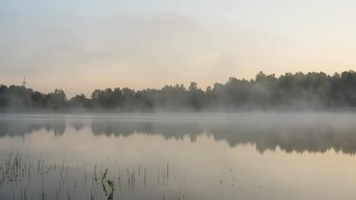 Misty Early Morning at Forest Lake