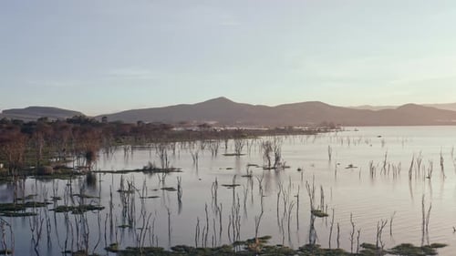 Aerial View of Lake Nakuru in the Rift Valley