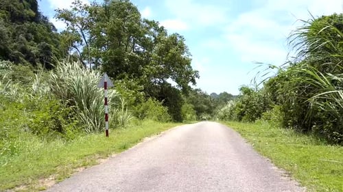 Caminho branco com sinal de trânsito vermelho e amarelo na floresta verde