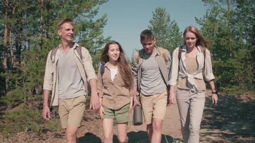 Young Friends Hiking in Forest on Sunny Day