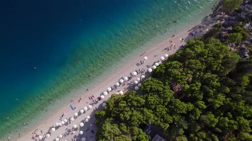 Vertical View of the Sea Coast with Sun Umbrellas and Sun Beds From Drone at Sunset