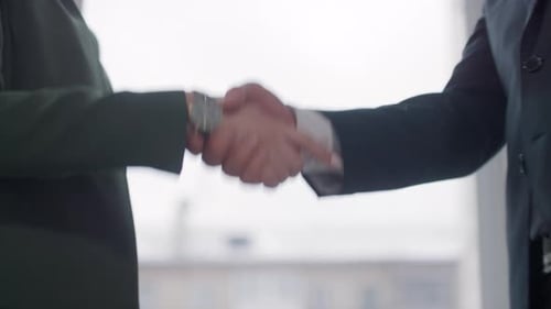 Handshake With Colleague