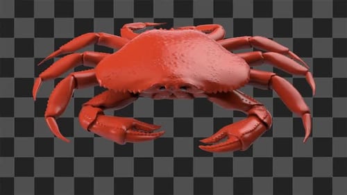Crab