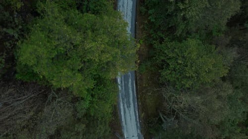 Stunning Flying Shot on Beautiful Empty Road