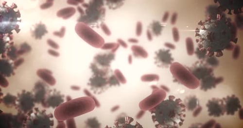 Animated Blood Cells and Virus Particles in Microscopic View