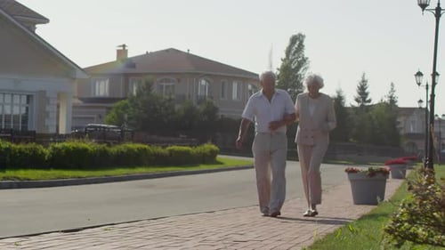 Happy Senior Couple Walking Outdoors on Sunny Day