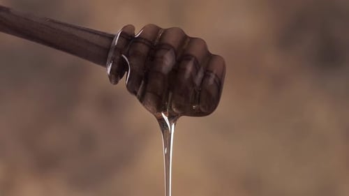 Honey Dripping from Wooden Honey Dipper