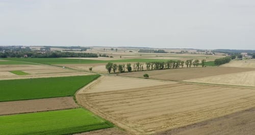 Aerial View of Farmland in the Countryside