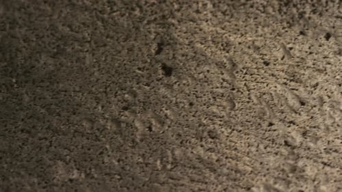 Textured Surface Close Up Pan