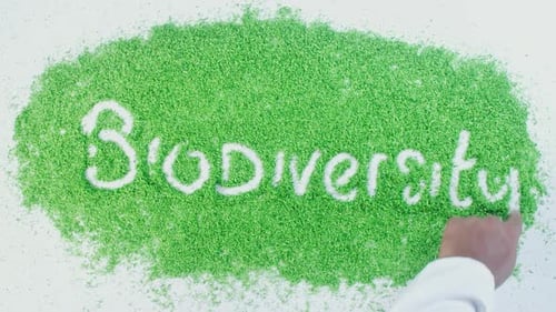Green Hand Writing Biodiversity