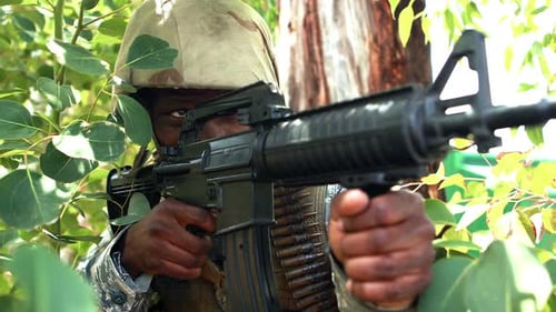 Soldier Holding Rifle While Amid Green Foliage
