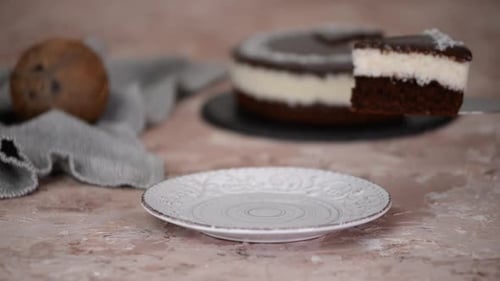 Slice of Coconut Chocolate Cake on Plate