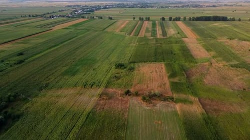 Fields In Romania Aerial View