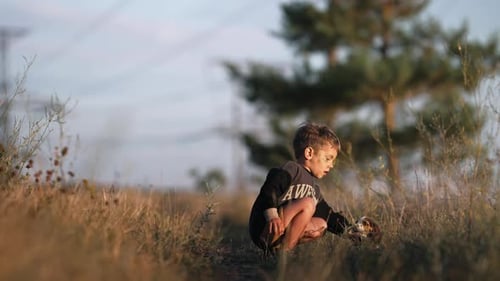 Boy and Beagle Puppy Cuddle in Grassy Field