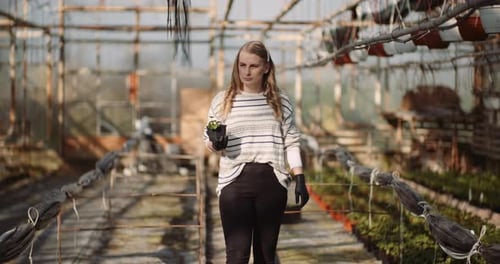 Woman Holding Plant in Greenhouse