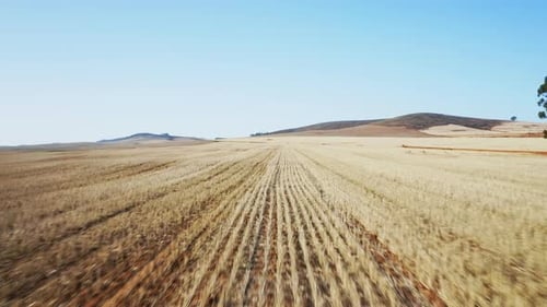 Aerial View of Harvested Field in Rural Landscape