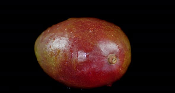 One Ripe Mango Slowly Rotates on the Table. , Food Stock Footage ft. 4k ...
