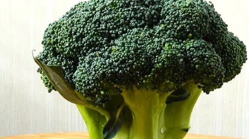 Fresh Green Broccoli Rotating Close Up