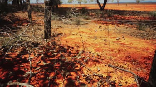 Tracking Shot Along Rustic Fence in Dry Nature